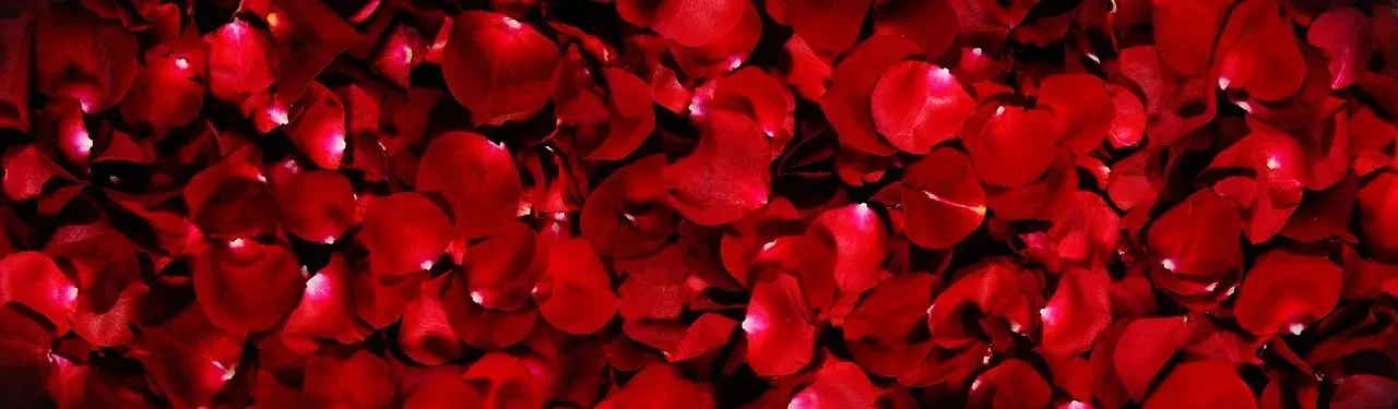 OnlyFans cuenta millaromanka header 2