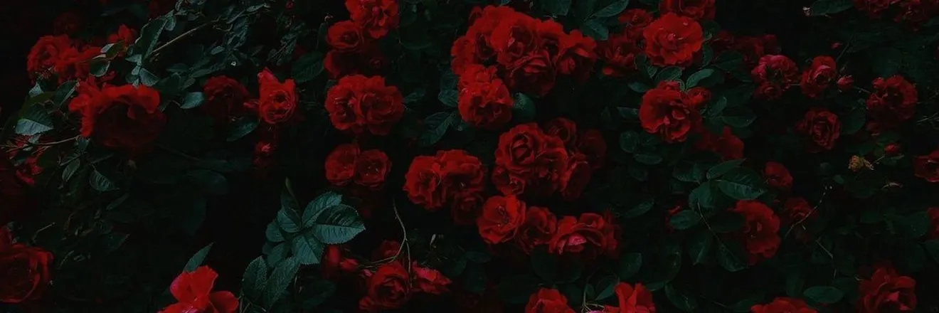 OnlyFans cuenta readyy_red header 2