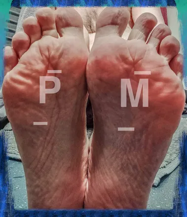 OnlyFans cuenta privvy_middo header 2