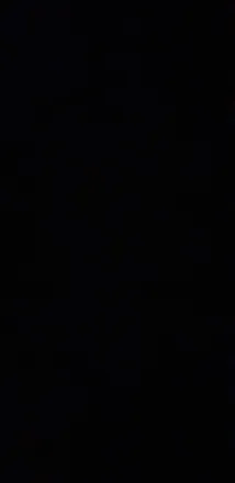 OnlyFans account  cocoofeet header 2