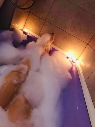 OnlyFans cuenta babygirlm03 header 2