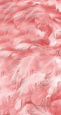OnlyFans cuenta babs1999 header 2
