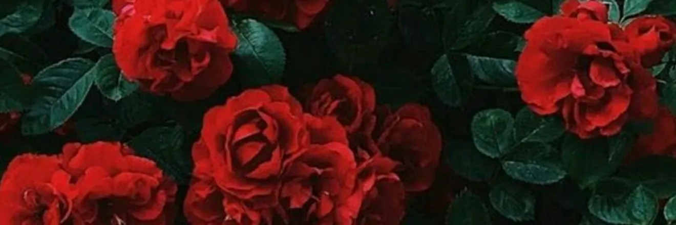 OnlyFans cuenta magical_succubo header 2