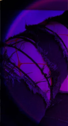 OnlyFans account  cece1685 header 2