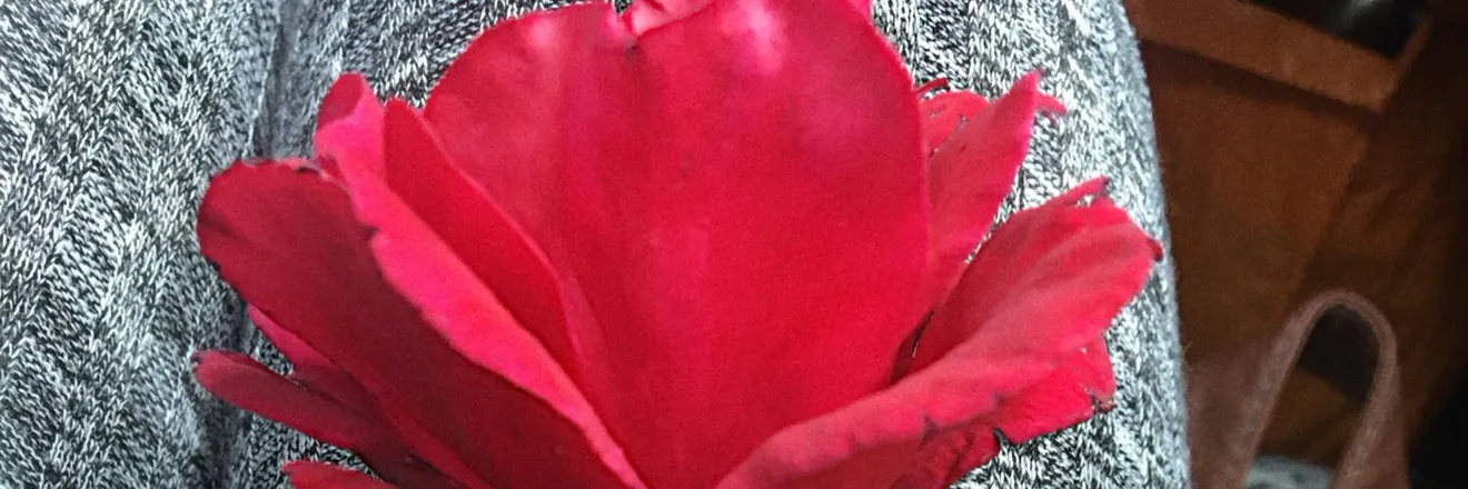 OnlyFans cuenta blackstar-q header 2