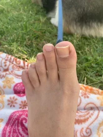 OnlyFans cuenta camelastoe avatar 1