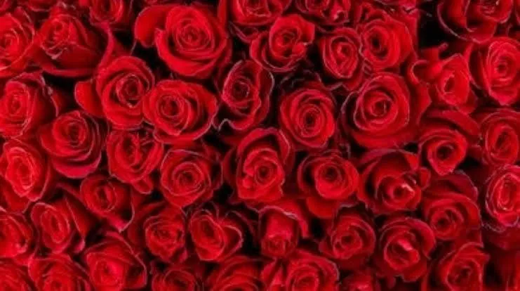 OnlyFans cuenta lmcbeast1 header 2