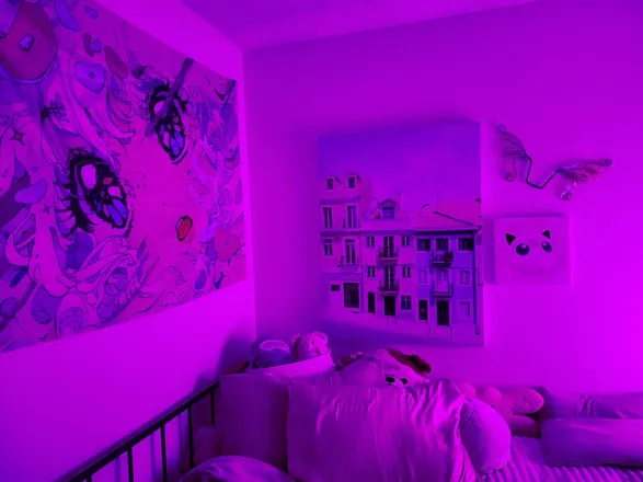 OnlyFans account  violetnixie header 2