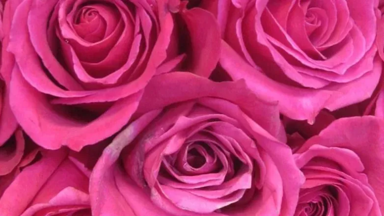 OnlyFans account  xxxkyliebanks header 2