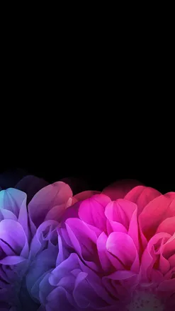 OnlyFans cuenta dldldldldl header 1