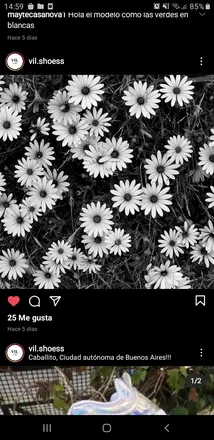 OnlyFans cuenta mmoliva22_carp header 2