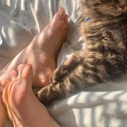 OnlyFans account  darcyslovelyfeet avatar 1