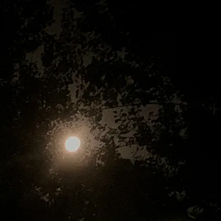OnlyFans account  glitt3rtitz header 2