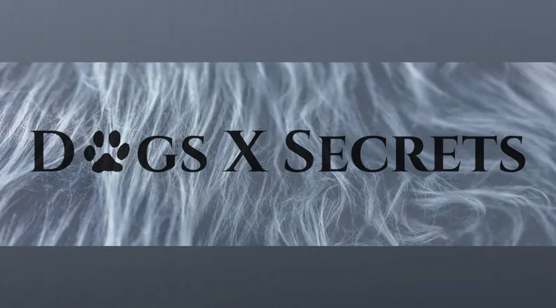 OnlyFans cuenta dogsxsecrets header 2