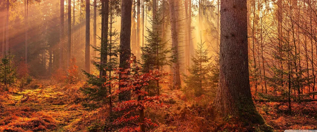 OnlyFans cuenta deathofseasons header 2