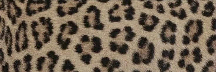 OnlyFans cuenta rosiemaryxxx header 2