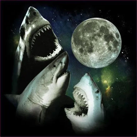 OnlyFans cuenta u24800199 header 2