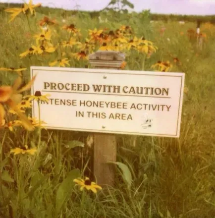 OnlyFans cuenta honeyfromthehive header 2