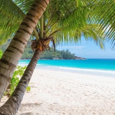 OnlyFans cuenta vahine_tahiti header 2