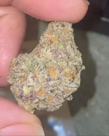OnlyFans cuenta cannabiscookies avatar 1