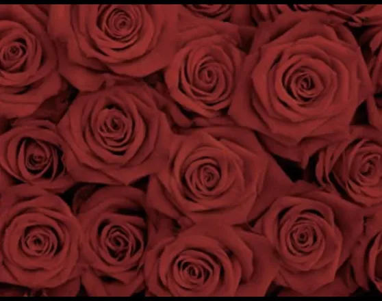 OnlyFans cuenta rooooooxxxanne header 2