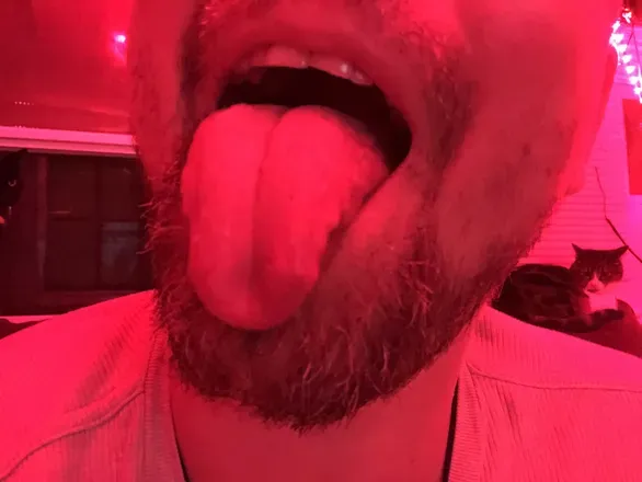 OnlyFans cuenta bullstockyshane avatar 1