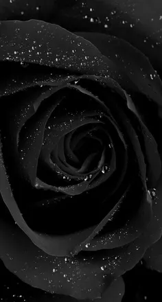 OnlyFans cuenta mae_mistress header 2