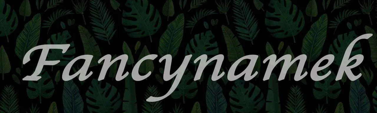 OnlyFans account  fancynamek header 2