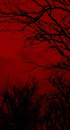 OnlyFans cuenta eli_bellie header 2