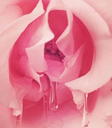 OnlyFans account  pantiful30 header 2