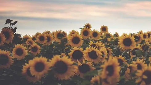 OnlyFans cuenta kaiitylandd header 1