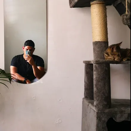 OnlyFans cuenta vokdaflavor header 2