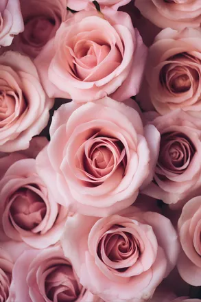 OnlyFans cuenta mysticty header 2