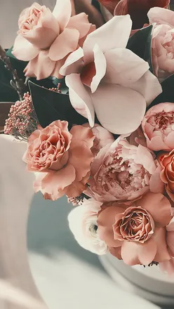 OnlyFans cuenta amberpatriciaivy header 2