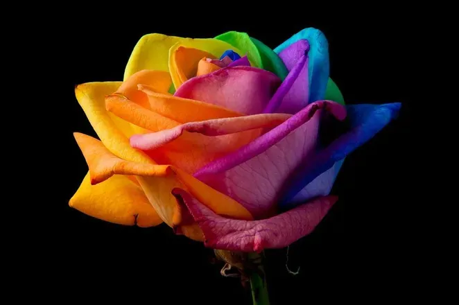 OnlyFans cuenta luxeoflust header 2