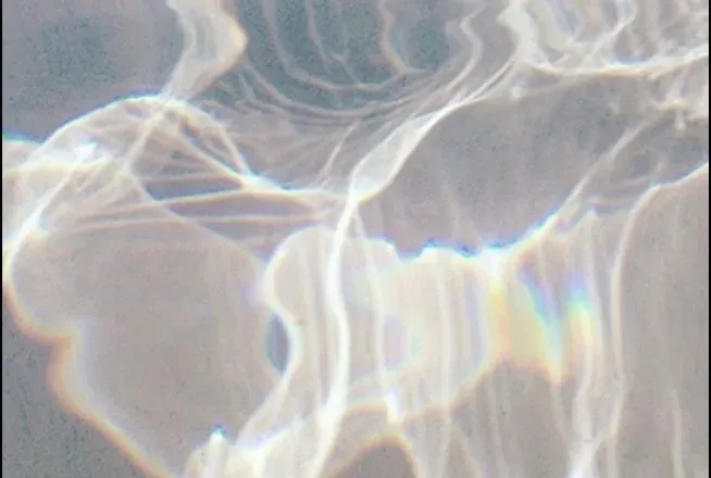 OnlyFans cuenta nicolexox1212 header 2