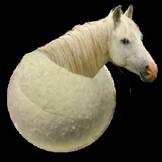 OnlyFans cuenta snowball_stallion avatar 1