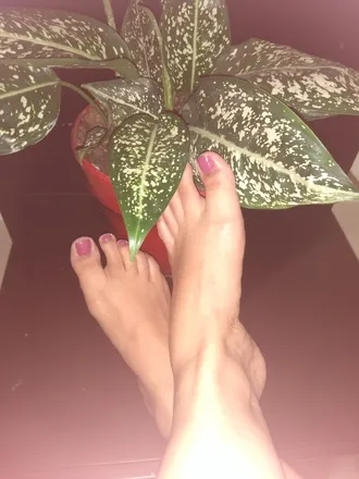 OnlyFans cuenta u316221058 header 2