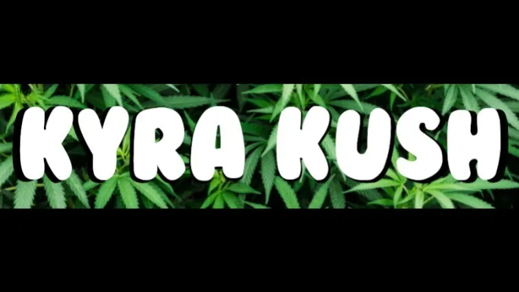 OnlyFans cuenta kyrakush22 header 2