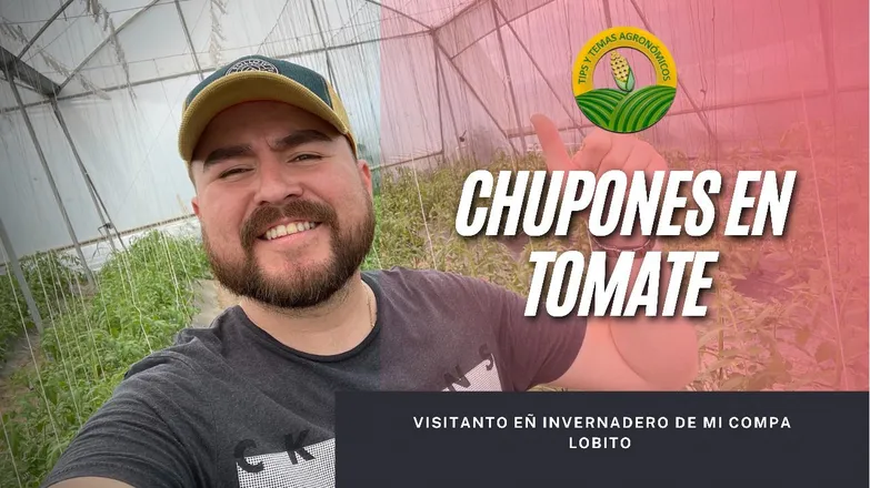 OnlyFans cuenta tipsytemasagronomicos1 header 2
