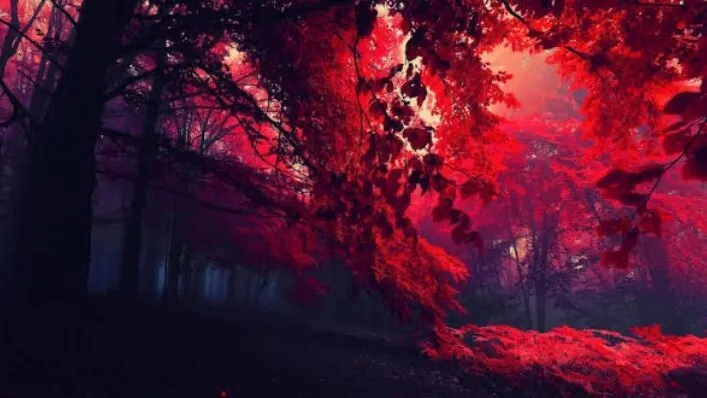 OnlyFans cuenta crimsonflvmexoxo header 2