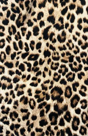 OnlyFans cuenta itsanniqv header 2
