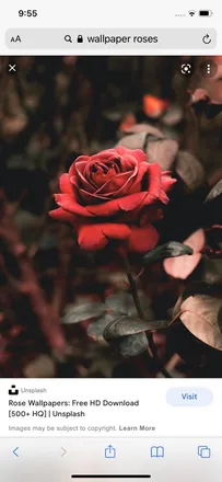 OnlyFans cuenta berrybabexoxo199 header 2