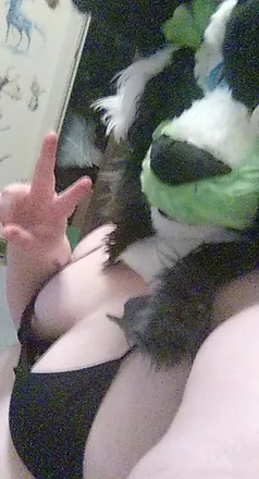 OnlyFans cuenta the_naughty_chubby_floof header 2