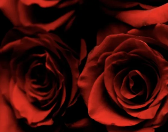OnlyFans cuenta muahhbonita header 2