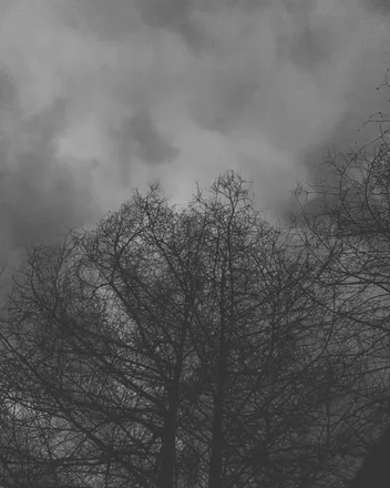 OnlyFans cuenta eatenbyinsects666 header 2