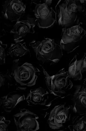 OnlyFans cuenta brujamedusa header 2