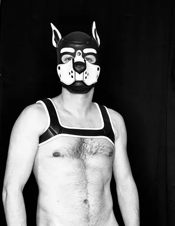 OnlyFans cuenta maru_pup header 2