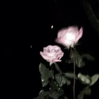 OnlyFans cuenta farrapuffz header 2