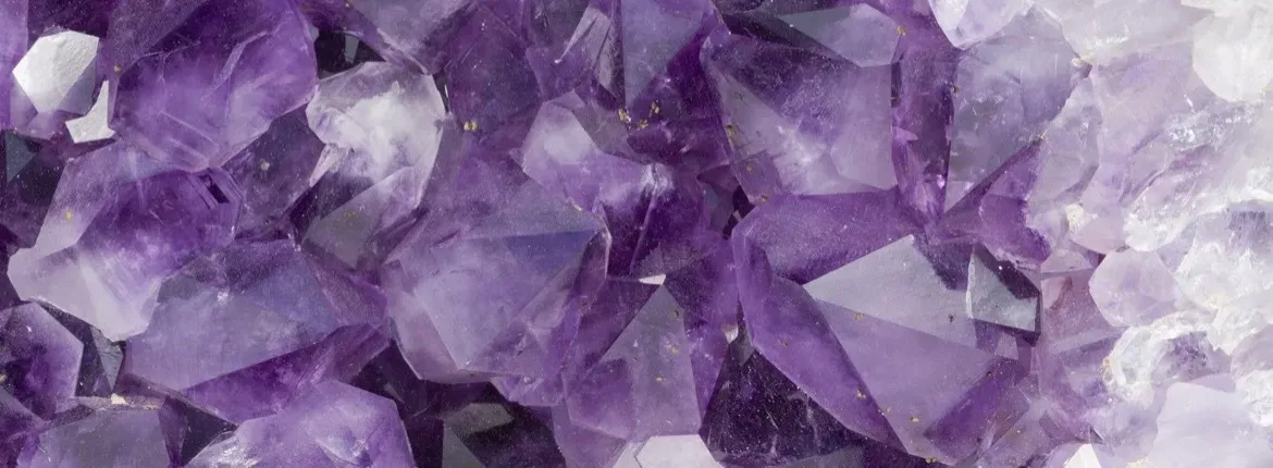 OnlyFans cuenta violetlin header 2
